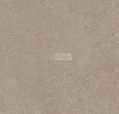 Линолеум Forbo Marmoleum Marbled Fresco 3252-325235-33252 sparrow фото 1 | FLOORDEALER